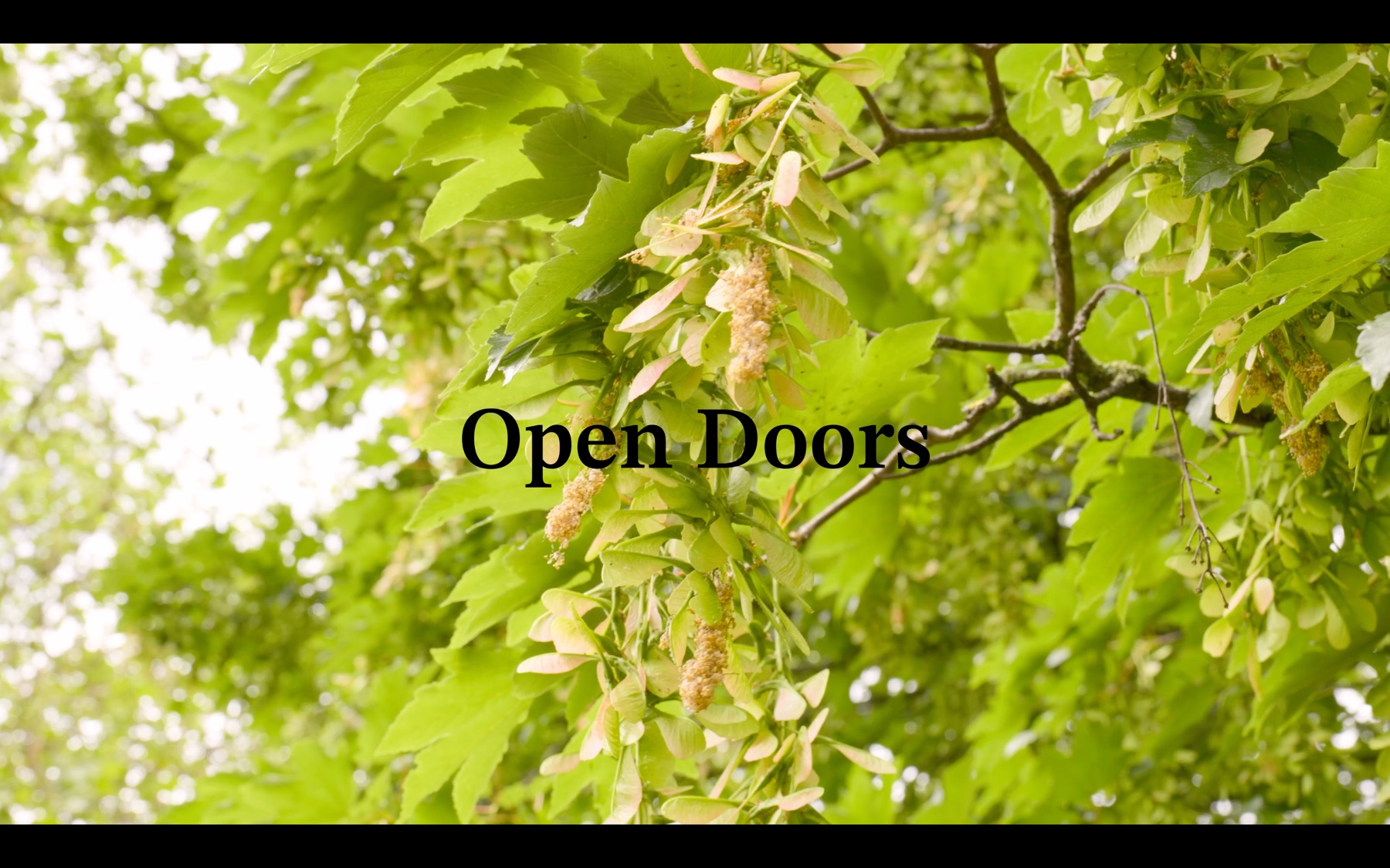 Open Doors